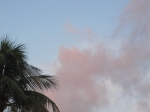 family-reunion-cat-cay-june2011-372