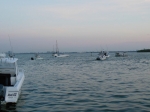 DSCN5613